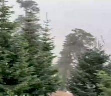 Bolu'ya mevsimin ilk karı yağdı