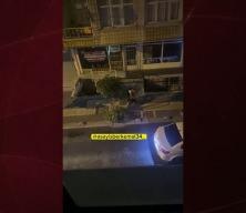 İstanbul'da pitbull cinsi köpek sahibine saldırdı!