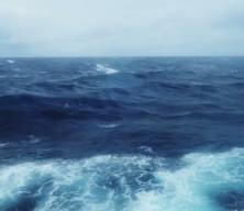 Okyanustaki depremin ardından tsunami alarmı verildi