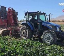 Şeker pancarında hedef 450 bin ton