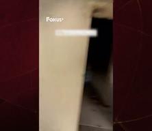  Gazzelilerin ateşkesin ardından eve dönüş coşkusu herkesi duygulandırdı