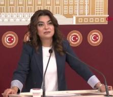 DEM Parti'li Koçyiğit: Tezkerelere 'hayır' oyu vereceğiz