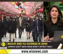 Japonya'da kuş gribi alarmı: Yaklaşık 460 bin tavuk itlaf edilecek