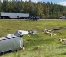 ABD'de tuhaf olay! 'Hastalıklı maymunlar' alarma geçirdi! 