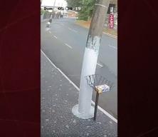 Brezilya'da feci kaza! Virajı alamadı direğe çarptı