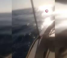 Dev köpekbalığını gören balıkçıdan bomba tepki