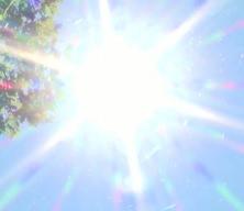 Dünyada sıcaklık artışında küresel alarm! 