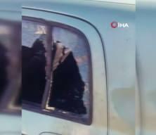 Gümüşhane’de ayı park halindeki araca saldırdı