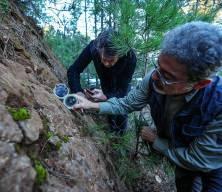 Sındırgı depremlerinin "ölü" fayların yeniden aktifleşmesiyle meydana geldiği belirlendi