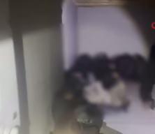 Sınırda nefes kesen operasyon: 24 düzensiz göçmen yakalandı