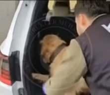 Ticaret Bakanlığı duyurdu: İki gümrük kapısında peş peşe operasyon!