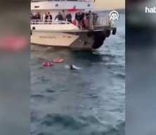 Üsküdar'da feribottan denize düşen kadının kurtarılması kamerada