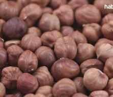 Fındık ihracatı 10 ayda 1,8 milyar doları aştı