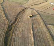 TMO'nun 2026'da 3,5 milyon ton buğday, 1,5 milyon ton mısır alması öngörülüyor