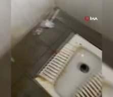 Bolu'da Hayreddin Tokadi Türbesi'nde tepki çeken görüntüler