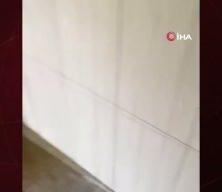 Bolu'da türbede tepki çeken görüntüler