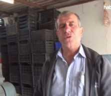 Çanakkale'de tasarladığı aletle kurutup kilosunu 500 TL'den satıyor