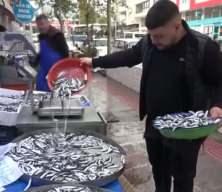 Amasya’da hamsi 50 TL'ye düştü: Vatandaşlar sıraya girdi, balıkçıdan dikkat çeken sözler