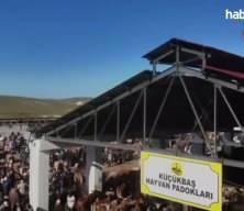 Şap salgını gerçekten bitti mi? Bakanlık aşı oranını açıkladı, iddialara dava açtı