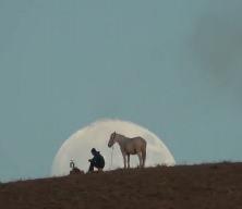 Film sahnesi değil gerçek! O anlar sosyal medyada gündem oldu