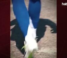 Galatasaray'dan olaylı ayrılan Morata, İtalya'da kriz yaşıyor