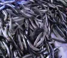 Hamsi bolluğu fiyatları düşürdü ama ilgi azaldı