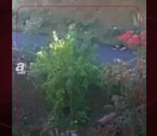 Kastamonu'da günlerdir kayıp anne ve çocuğunun görüntüleri ortaya çıktı