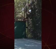  Suriye Cumhurbaşkanı Ahmed Şara hünerlerini sergiledi!