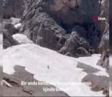 Serengetiyi aratmayan görüntüler! Ayının avlandığı anlar dron ile görüntülendi