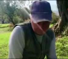 Zeytinin en doğal hali: Karaburun Furma Zeytini hasadı başladı