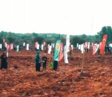 11 Kasım Milli Ağaçlandırma Günü'nde çifte rekor!