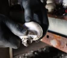 Bakanlık desteğiyle mantar üretim çiftliği kurdu