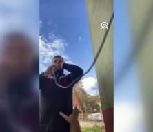 Gülümseten anlar: Yavru kedi, ezan okuyan imamın üstüne tırmandı