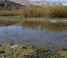 İran, şiddetli kuraklığa çözüm arıyor...