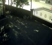 İzlerken tüyleri diken diken eden görüntü!