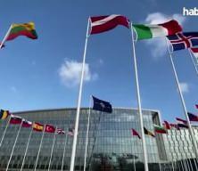 NATO üyesi 8 ülke Ukrayna için kolları sıvadı!