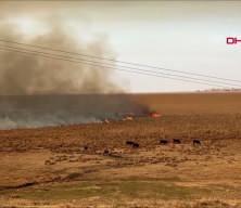 Nehil Sazlığı'ndaki yangın söndürüldü