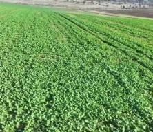 FAO'dan Türkiye'deki arazi tahribatını engellemeye yönelik projelere 8,1 milyon dolarlık kaynak