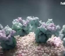 WHO raporu: Tüberküloz vakaları ve ölümleri düşüşe geçti