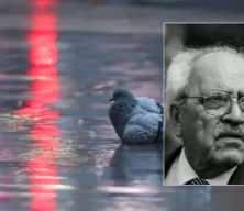 Yücel Arzen Hacıoğulları, Sezai Karakoç'un "Yağmur Duası" şiirini besteledi