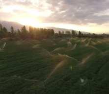 Kırsalda yürütülen kalkınma programları istihdam artışına da destek oluyor