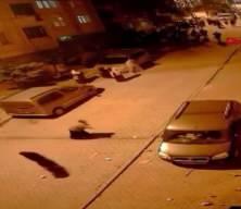 Arnavutköy'de mahalledeki taşlı sopalı kavga kamerada