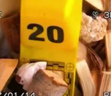 Faili meçhul cinayetler tek tek aydınlatıldı! Bakan Yerlikaya tek tek açıkladı