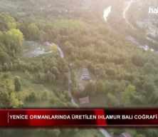 Bakan Yumaklı ve Kacır, Yenice ıhlamur balının AB'den coğrafi tescil almasını değerlendirdi