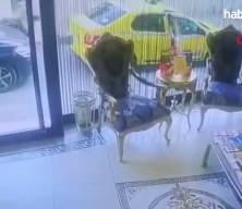 Böcek ailesi hangi otelde kaldı?