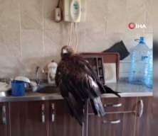 Dev kartala "Kartalcık kartalcık" diye seslendiği anlar herkesi güldürdü