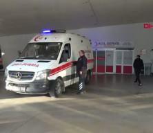 Hayvan otlatırken ayı saldırısına uğradı: Elmacık kemiği koptu!