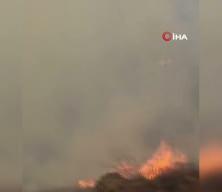 İran, orman yangını için Türkiye'den yardım istedi