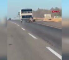 Kamyonetin arkasına bağladığı atı dakikalarca sürükledi; o anlar kamerada