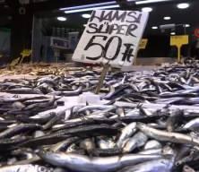 Karadeniz'de son 35 yılın en bereketli hamsi sezonu yaşanıyor